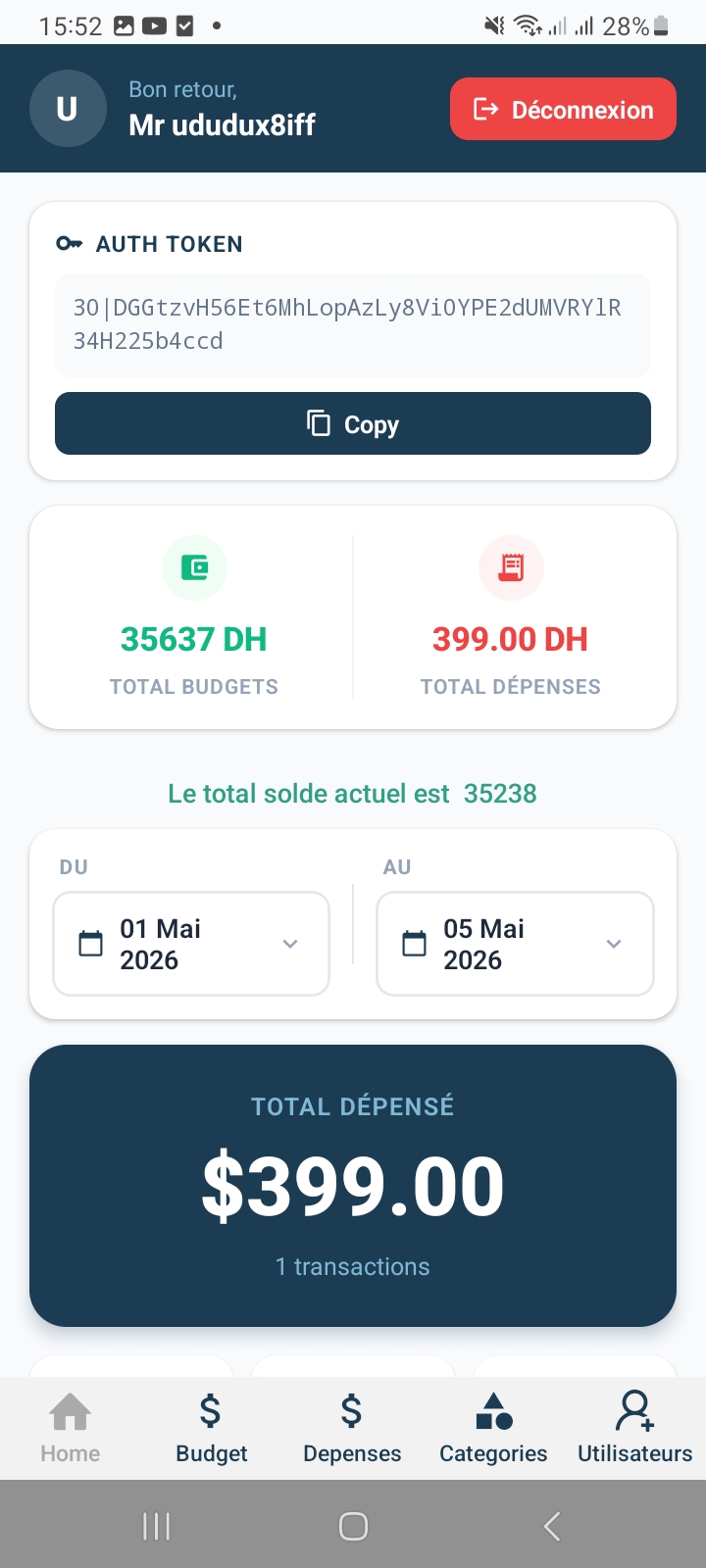 Budget overview screen